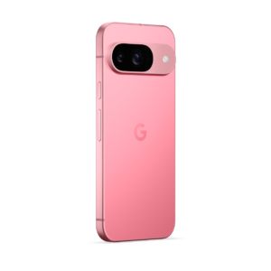 Pixel 9 - изображение 4